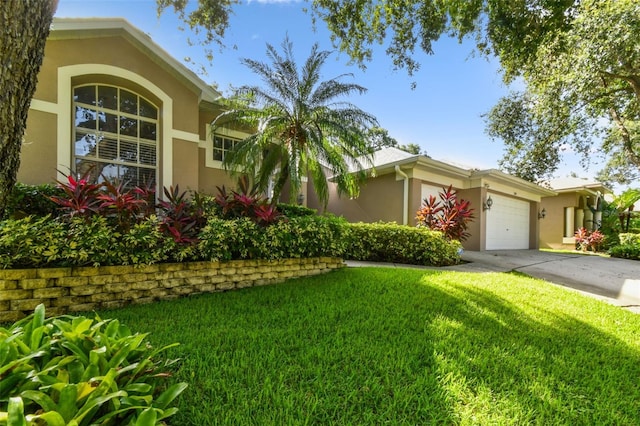 2009 Raven Manor Dr, Dover, FL 33527 - view of front of house with stucco siding, a garage, a front lawn, and concrete driveway