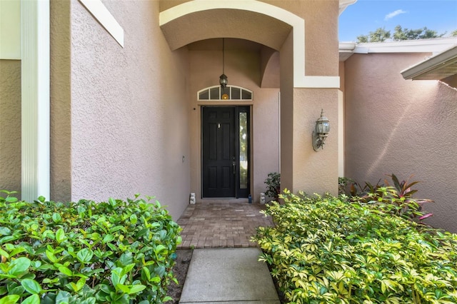 2009 Raven Manor Dr, Dover, FL 33527 - entrance to property with stucco siding