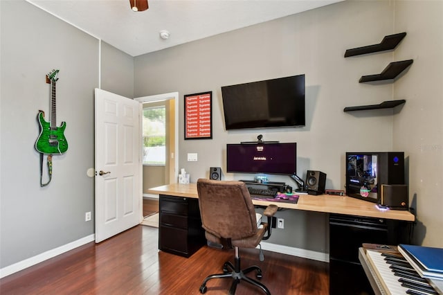 2009 Raven Manor Dr, Dover, FL 33527 - office with dark wood-style floors and baseboards