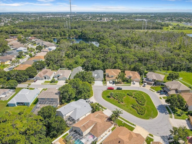 2654 Banner Stone Ct, Holiday, FL 34691 - photo 44