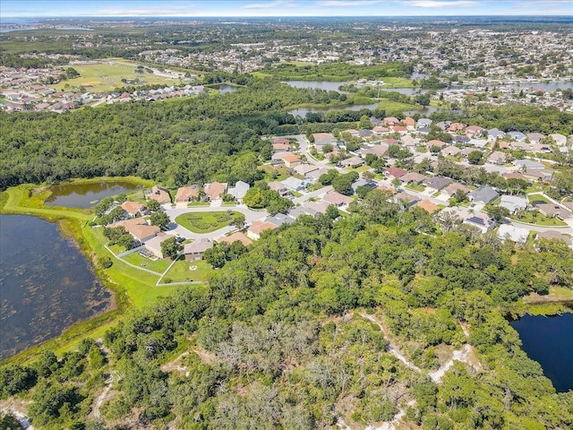 2654 Banner Stone Ct, Holiday, FL 34691 - photo 48