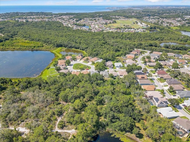 2654 Banner Stone Ct, Holiday, FL 34691 - photo 49