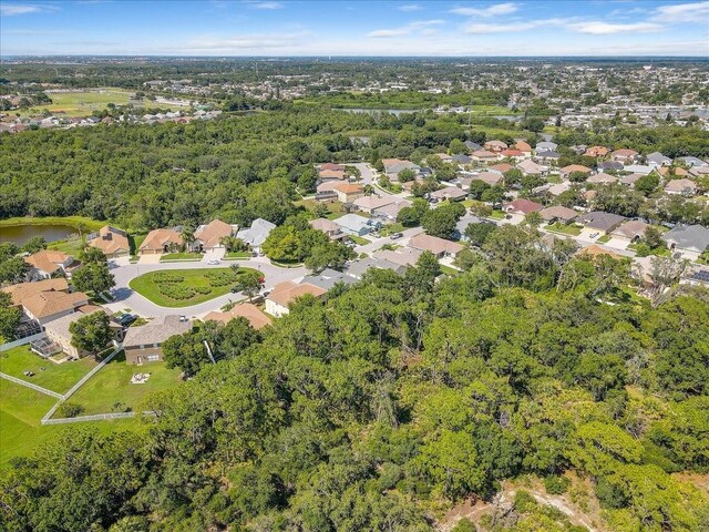 2654 Banner Stone Ct, Holiday, FL 34691 - photo 50