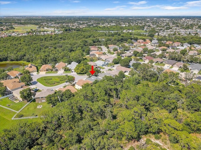 2654 Banner Stone Ct, Holiday, FL 34691 - photo 51