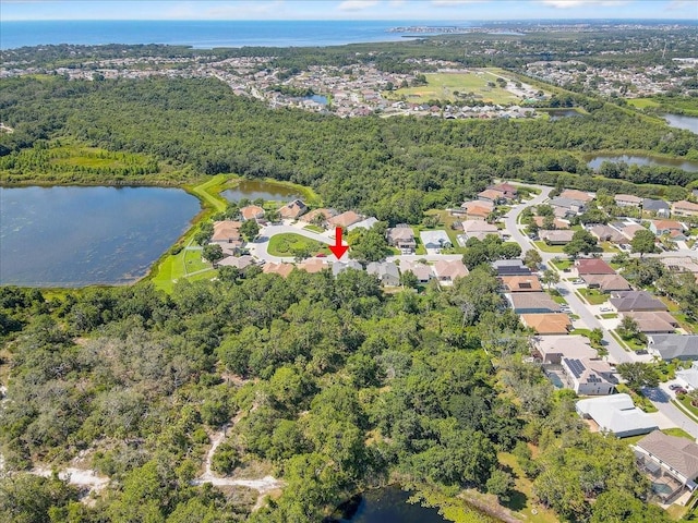 2654 Banner Stone Ct, Holiday, FL 34691 - photo 52