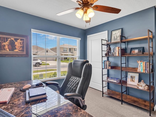 5474 Flint Hills Dr, Wimauma, FL 33598 - photo 40