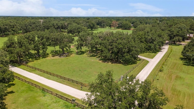2702 Rogers Ranch Rd, Lithia, FL 33547 - drone / aerial view of a forest