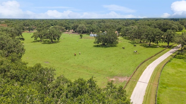 2702 Rogers Ranch Rd, Lithia, FL 33547 - aerial view of a heavily wooded area