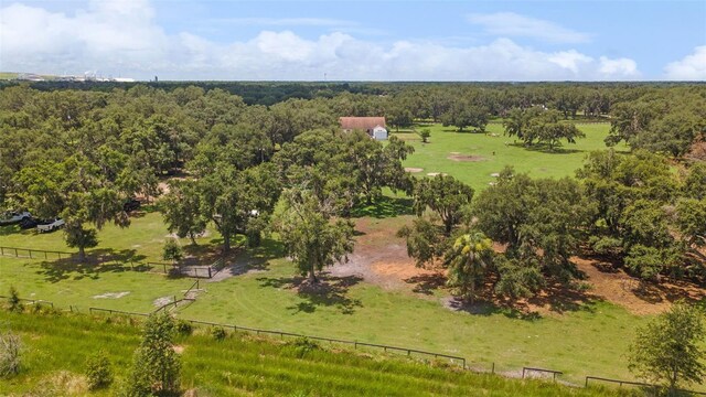 2702 Rogers Ranch Rd, Lithia, FL 33547 - overview of rural landscape featuring a heavily wooded area