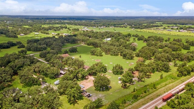 2702 Rogers Ranch Rd, Lithia, FL 33547 - aerial view