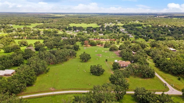 2702 Rogers Ranch Rd, Lithia, FL 33547 - bird's eye view
