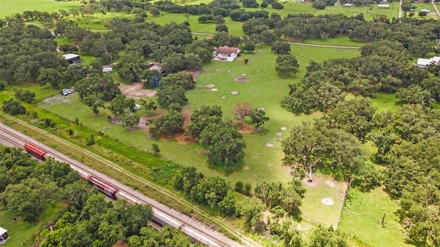2702 Rogers Ranch Rd, Lithia, FL 33547 - view of property location featuring a tree filled landscape and rural landscape
