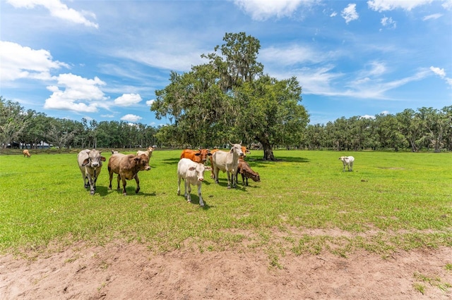 2702 Rogers Ranch Rd, Lithia, FL 33547 - view of property's community with a view of rural / pastoral area and an exterior structure