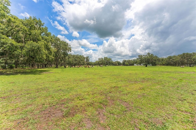 2702 Rogers Ranch Rd, Lithia, FL 33547 - view of grassy yard featuring a rural view