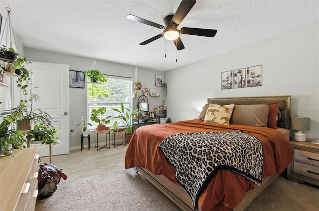 10040 Caraway Spice Ave, Riverview, FL 33578 - photo 14