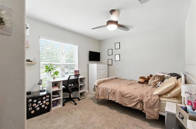 10040 Caraway Spice Ave, Riverview, FL 33578 - photo 22