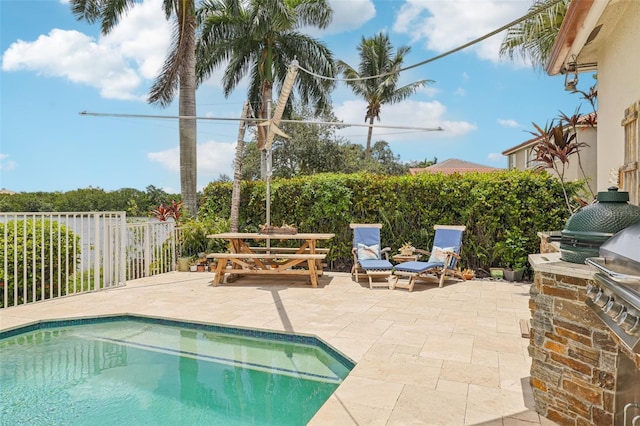 17001 NW 20th St, Pembroke Pines, FL 33028 - view of swimming pool with a patio area, a fenced backyard, and area for grilling