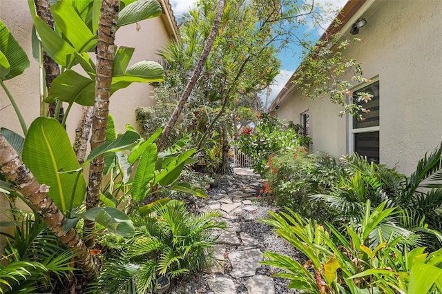 17001 NW 20th St, Pembroke Pines, FL 33028 - view of yard