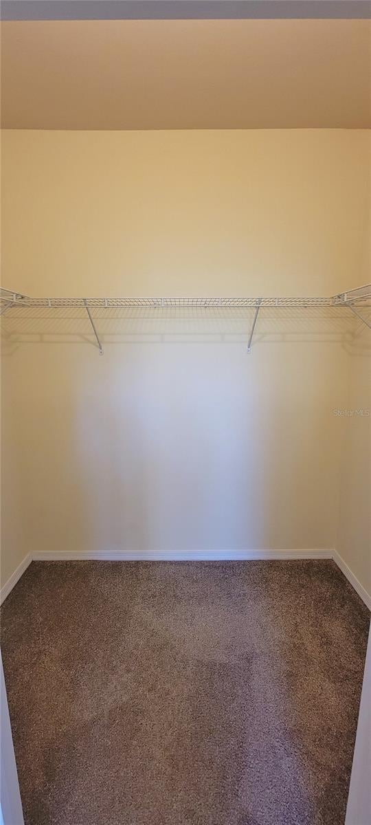 16501 Harper Pond Ln Unit 308, Odessa, FL 33556 - photo 16