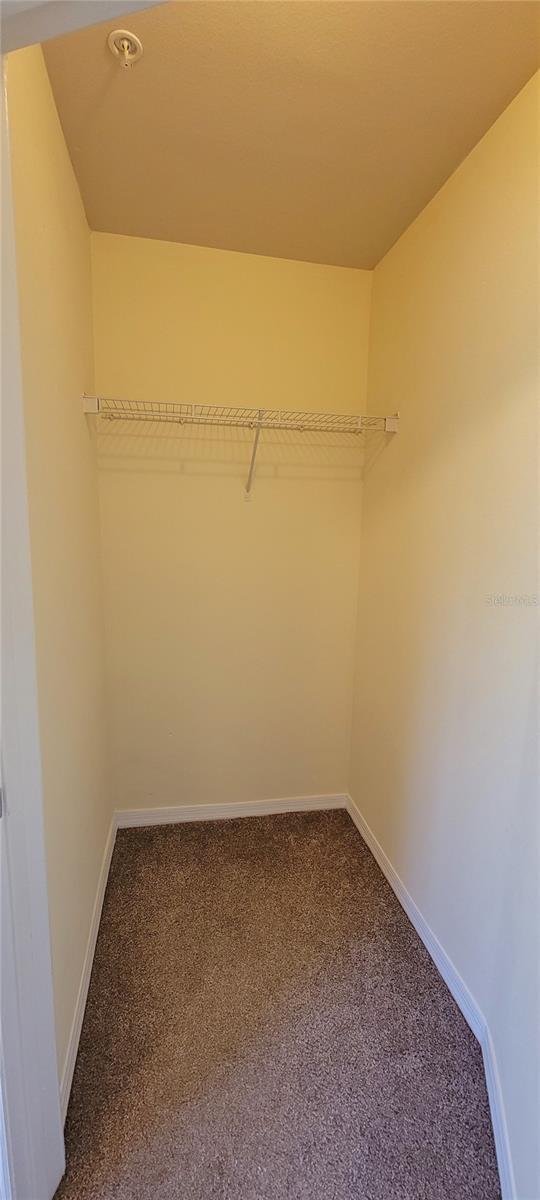 16501 Harper Pond Ln Unit 308, Odessa, FL 33556 - photo 22