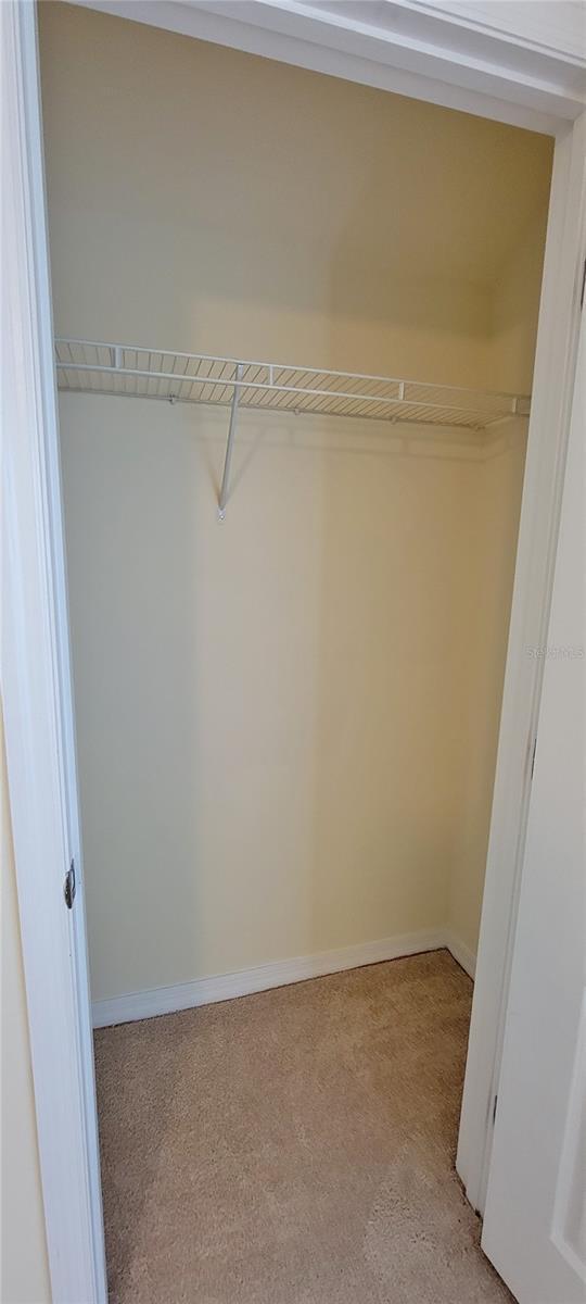16501 Harper Pond Ln Unit 308, Odessa, FL 33556 - photo 28