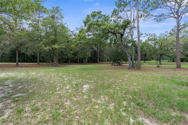 17207 Bosley Dr, Spring Hill, FL 34610 - photo 33