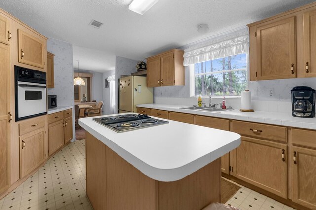 17207 Bosley Dr, Spring Hill, FL 34610 - photo 45