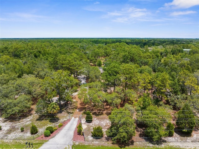 17207 Bosley Dr, Spring Hill, FL 34610 - photo 66