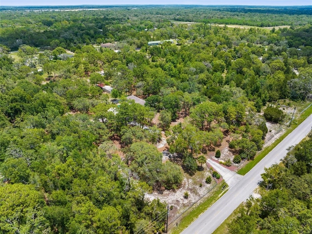 17207 Bosley Dr, Spring Hill, FL 34610 - photo 67