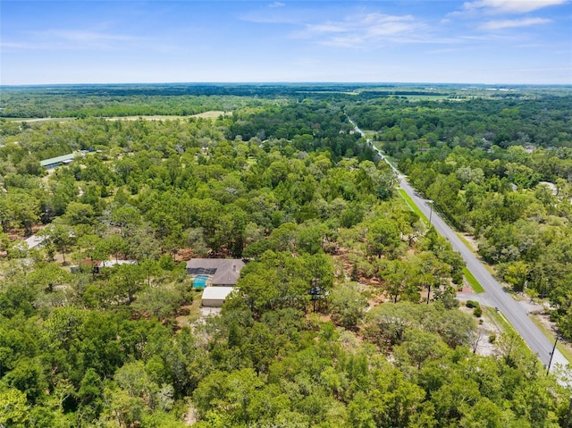 17207 Bosley Dr, Spring Hill, FL 34610 - photo 68