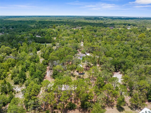 17207 Bosley Dr, Spring Hill, FL 34610 - photo 70