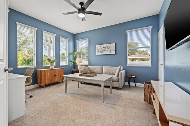 517 39th Ave N, Saint Petersburg, FL 33703 - photo 8
