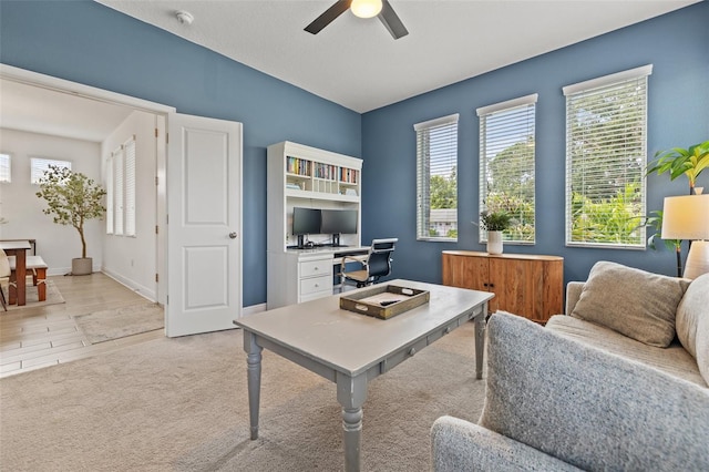 517 39th Ave N, Saint Petersburg, FL 33703 - photo 9