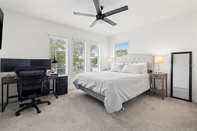 517 39th Ave N, Saint Petersburg, FL 33703 - photo 32