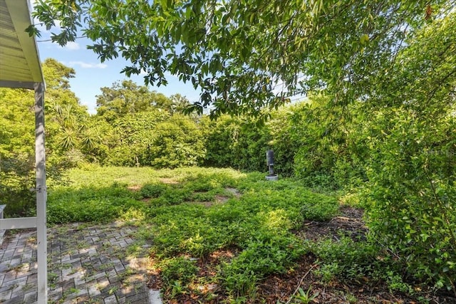 1222 Palm St, Clearwater, FL 33755 - view of yard featuring a patio area