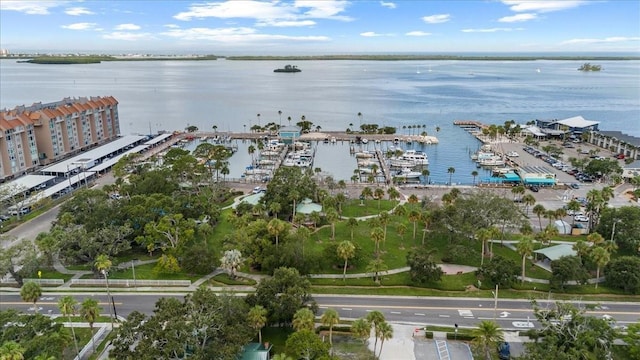 1222 Palm St, Clearwater, FL 33755 - view of property location featuring a large body of water