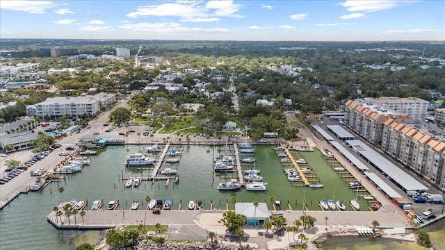 1222 Palm St, Clearwater, FL 33755 - view of property location with numerous boat docks and a large body of water