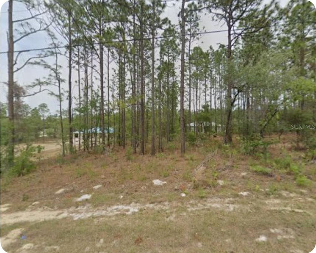 1561 W Gainsboro Ln, Citrus Springs, FL 34434 - photo 1