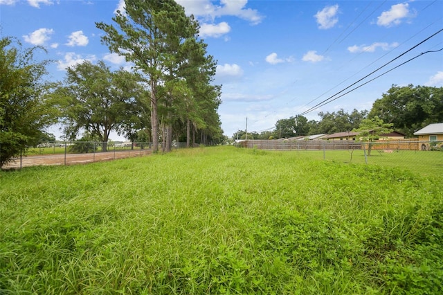 4189 Homestead Dr, Lakeland, FL 33810 - photo 43