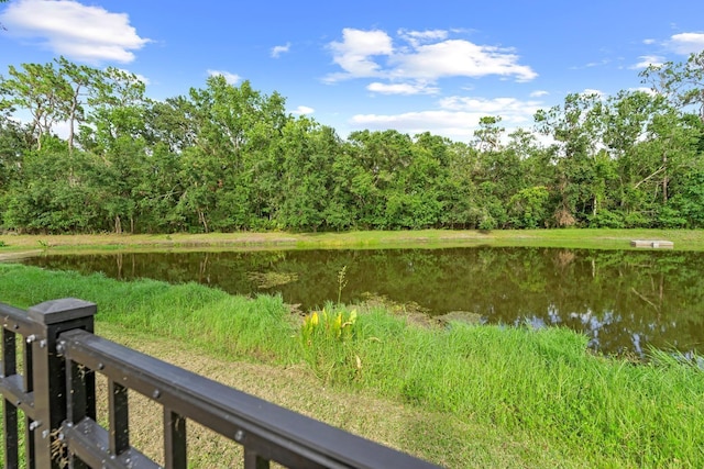 3612 Cordgrass Dr, Valrico, FL 33596 - photo 30