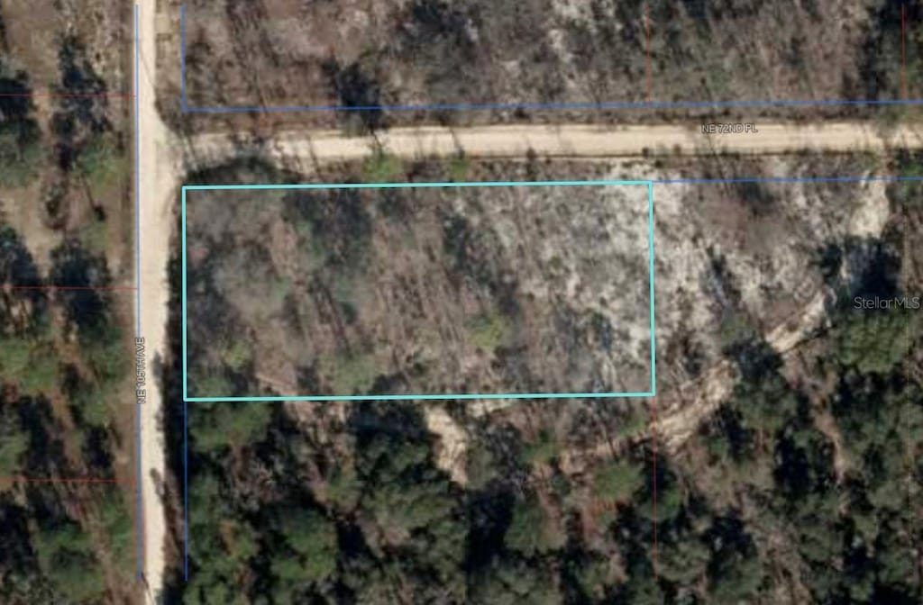NE 105th Ave, Bronson, FL 32621 - photo 2