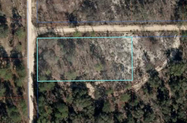 NE 105th Ave, Bronson, FL 32621 - photo 2