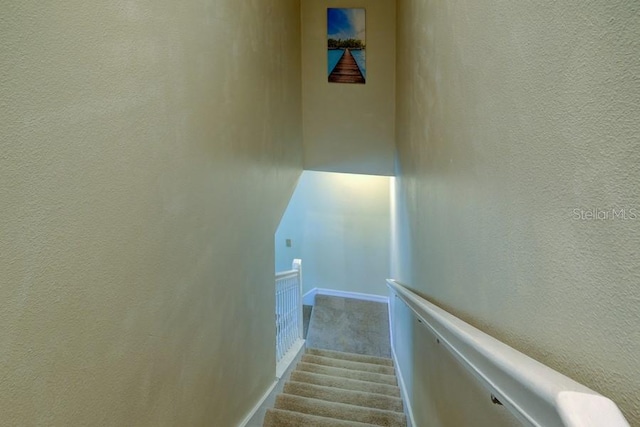 3909 45th Ter W Unit 102, Bradenton, FL 34210 - photo 25
