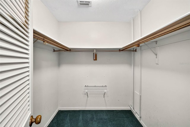 524 Garrard Dr, Temple Terrace, FL 33617 - spacious closet featuring carpet flooring