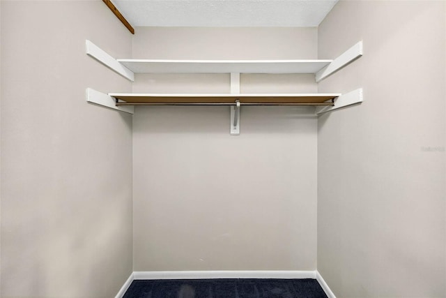 524 Garrard Dr, Temple Terrace, FL 33617 - spacious closet featuring carpet flooring