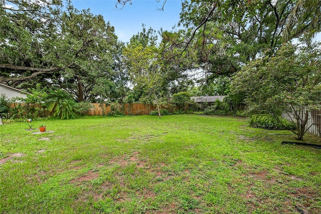 524 Garrard Dr, Temple Terrace, FL 33617 - view of fenced backyard