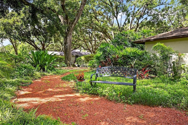524 Garrard Dr, Temple Terrace, FL 33617 - view of yard