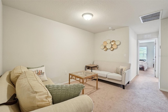 4935 White Sanderling Ct, Tampa, FL 33619 - photo 8