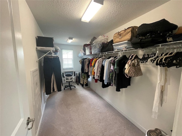 1596 Ludington Ave, Wesley Chapel, FL 33543 - spacious closet featuring carpet