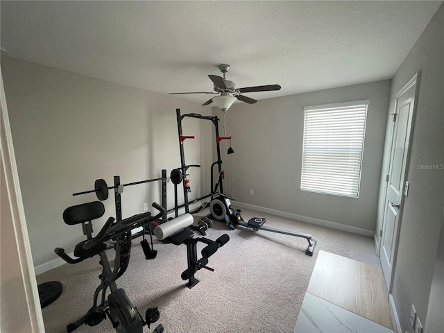 1596 Ludington Ave, Wesley Chapel, FL 33543 - workout room with ceiling fan, carpet flooring, and a textured ceiling